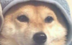 good boiz